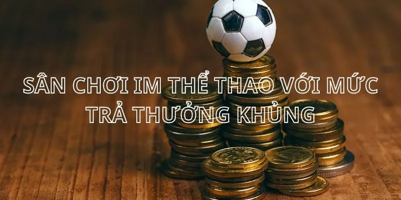 Bet thủ có thể kiếm tiền nhanh và đơn giản khi tham gia sảnh IM